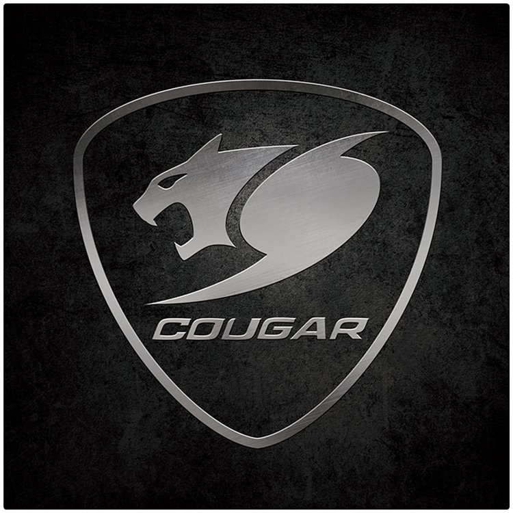 210126170017992801 COUGAR Command, Gaming Chair Floor Mat, 1100 x 1100 x 4 mm, hard wearing fabric, Hand wash and dry - Image 1